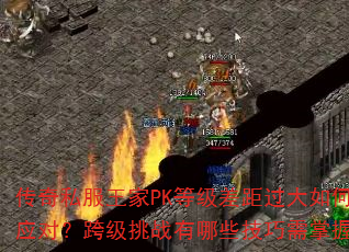 ˽PKȼӦԣ缶սЩգ