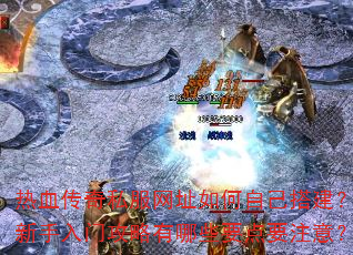 Ѫ˽ַԼŹЩҪҪע⣿