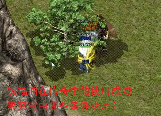 ףڴеʹóɹʾЩ