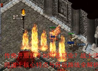 濪ѡְҵսʿʦʿص·ȫ