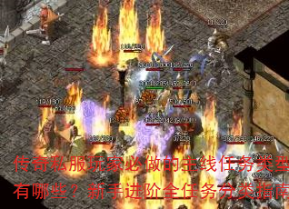 ˽ұЩֽȫָ