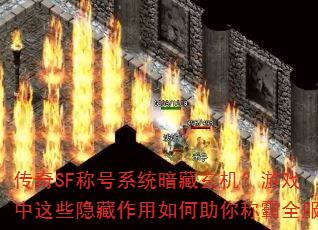 SFƺϵͳϷЩưȫ