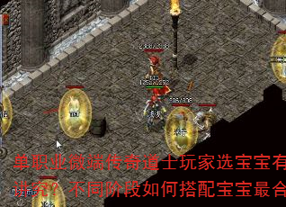 ְҵ΢˴ʿѡʲôͬ׶δ䱦