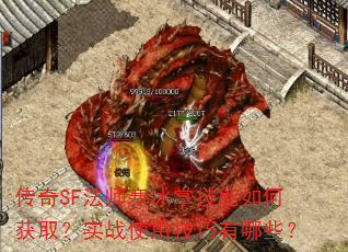 SFʦƼλȡʵսʹüЩ