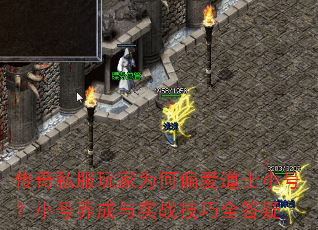 ˽ΪƫʿСţСʵսȫ