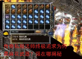 ˽ʦռ׷Ϊ黨ǿĽ