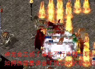 ϻֲѡĸְҵãѡʺֲҵְҵԣ
