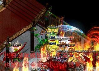 ϷǮ𣿲ǮҲܳưȫľ