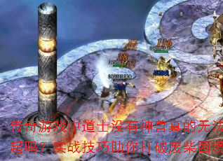 Ϸеʿû޷ʵսƷϲ