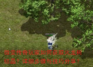 ΢䴫λȡᾧϸ뼼ɷ