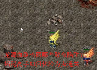 ԴѪ·Щ壿ظλΪͨ