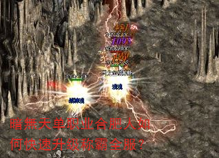 o쵥ְҵϷοưȫ