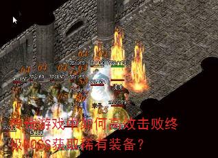 ϷθЧռBOSSȡϡװ