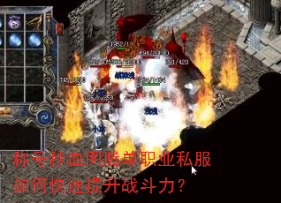 ƺѪͼڵְҵ˽οս