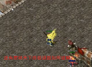 ʧռƽ⣿
