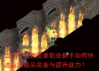 ѪȾ΢䵥ְҵοٻȡƷװս