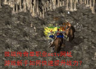 ΢˴浥ְҵcctvַϷοս
