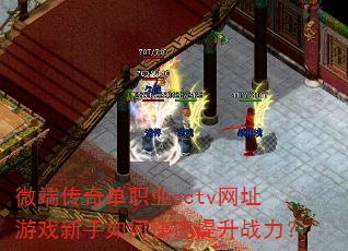 ΢˴浥ְҵcctvַϷοս