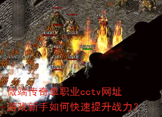 ΢˴浥ְҵcctvַϷοս