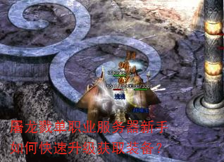 ¾ְҵοȡװ