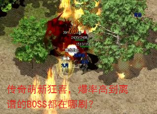 ¿ϲʸߵ׵BOSSˢ