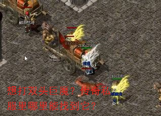 ˫ͷħ˽ҵ