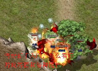 ţôϷ͸ԣ