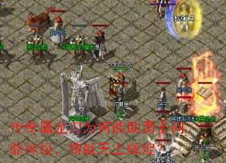 Ϊʿʶ񼶣ϻԻͣ
