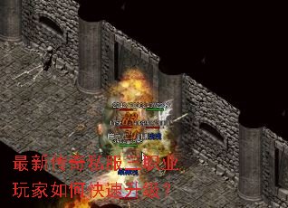 ´˽ְҵο