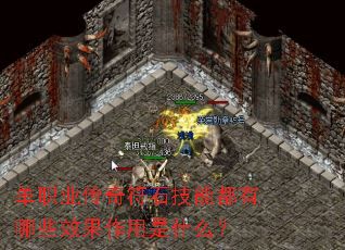 ְҵʯܶЩЧʲô