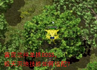 雷霆法神单挑BOSS,毁天灭地技能如何搭配? 雷霆法神单挑BOSS,毁天灭地技能如何搭配?