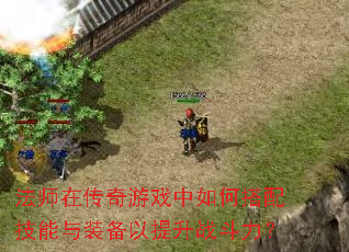 ʦڴϷδ似װս
