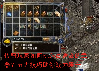 ѡʺϵս