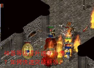 ȼٶ̫οͻƿ