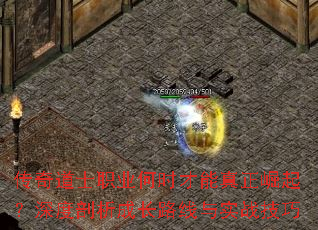 ʿְҵʱɳ·ʵս