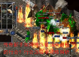 ѡʺԼл᣿лѡȫԽ