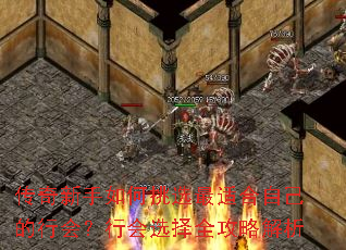 ѡʺԼл᣿лѡȫԽ
