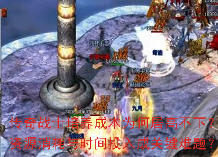սʿɱΪξӸ߲£ԴʱͶɹؼ⣿