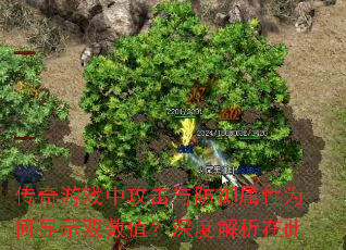 传奇游戏中攻击与防御属性为何显示双数值?深度解析在此 传奇游戏中攻击与防御属性为何显示双数值?深度解析在此