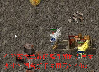 <h3>玄天武器的属性如何?重量多少?适合新手使用吗?</h3> <h3>玄天武器的属性如何?重量多少?适合新手使用吗?</h3>