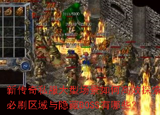 新传奇私服大型场景如何高效探索?必刷区域与隐藏BOSS有哪些? 新传奇私服大型场景如何高效探索?必刷区域与隐藏BOSS有哪些?