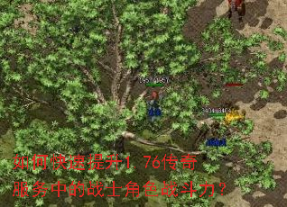 如何快速提升1.76传奇服务中的战士角色战斗力? 如何快速提升1.76传奇服务中的战士角色战斗力?