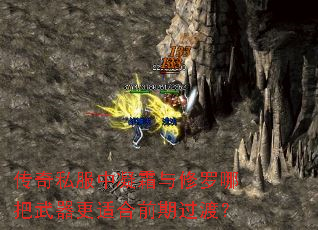 传奇私服中凝霜与修罗哪把武器更适合前期过渡? 传奇私服中凝霜与修罗哪把武器更适合前期过渡?