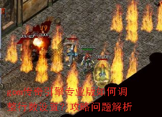 gom传奇引擎专业版如何调整行数设置?攻略问题解析 gom传奇引擎专业版如何调整行数设置?攻略问题解析