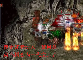 传奇SF老玩家:如何从菜鸟蜕变为一代宗师? 传奇SF老玩家:如何从菜鸟蜕变为一代宗师?