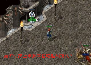 如何快速上手刺客召唤骷髅玩法? 如何快速上手刺客召唤骷髅玩法?