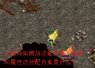 女武神如何加点最厉害?技能和属性点分配方案是什么? 女武神如何加点最厉害?技能和属性点分配方案是什么?