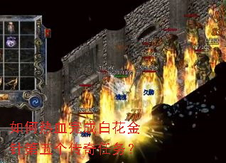 如何热血完成白花金针第五个传奇任务? 如何热血完成白花金针第五个传奇任务?