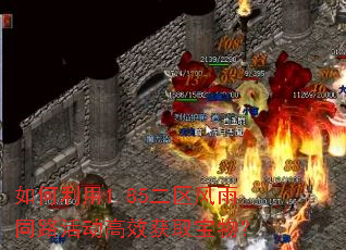 如何利用1.85二区风雨同路活动高效获取宝物? 如何利用1.85二区风雨同路活动高效获取宝物?