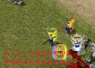 战士在1.80连击传奇中如何搭配技能实现高效连击? 战士在1.80连击传奇中如何搭配技能实现高效连击?